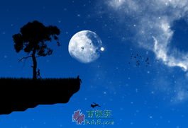 那是人类才犯的错误