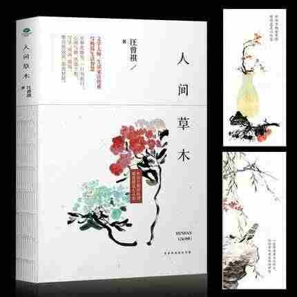 《人间草木》经典好句摘抄精选 《人间草木》经典好句摘抄精选