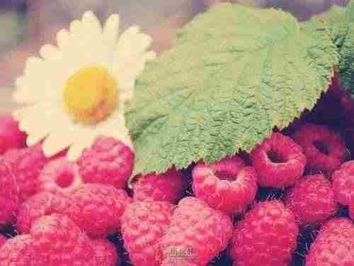 与众不同的代价