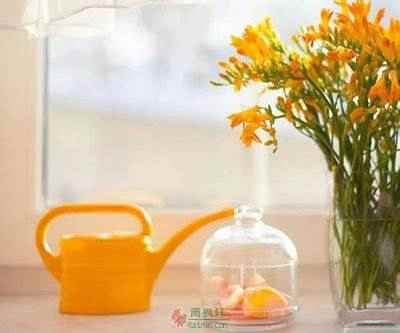 先天条件与后天培养