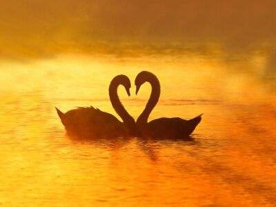 QQ说说爱情短语 QQ说说爱情短语