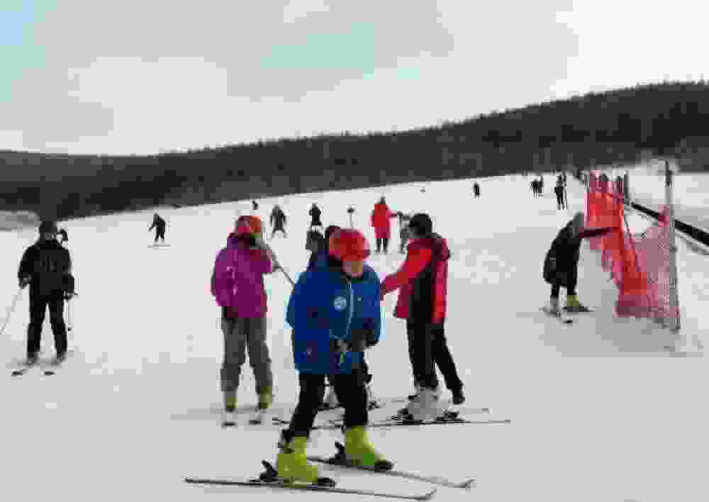 别再问我雪国阿尔山美不美?不好意思,一篇文章装不下!