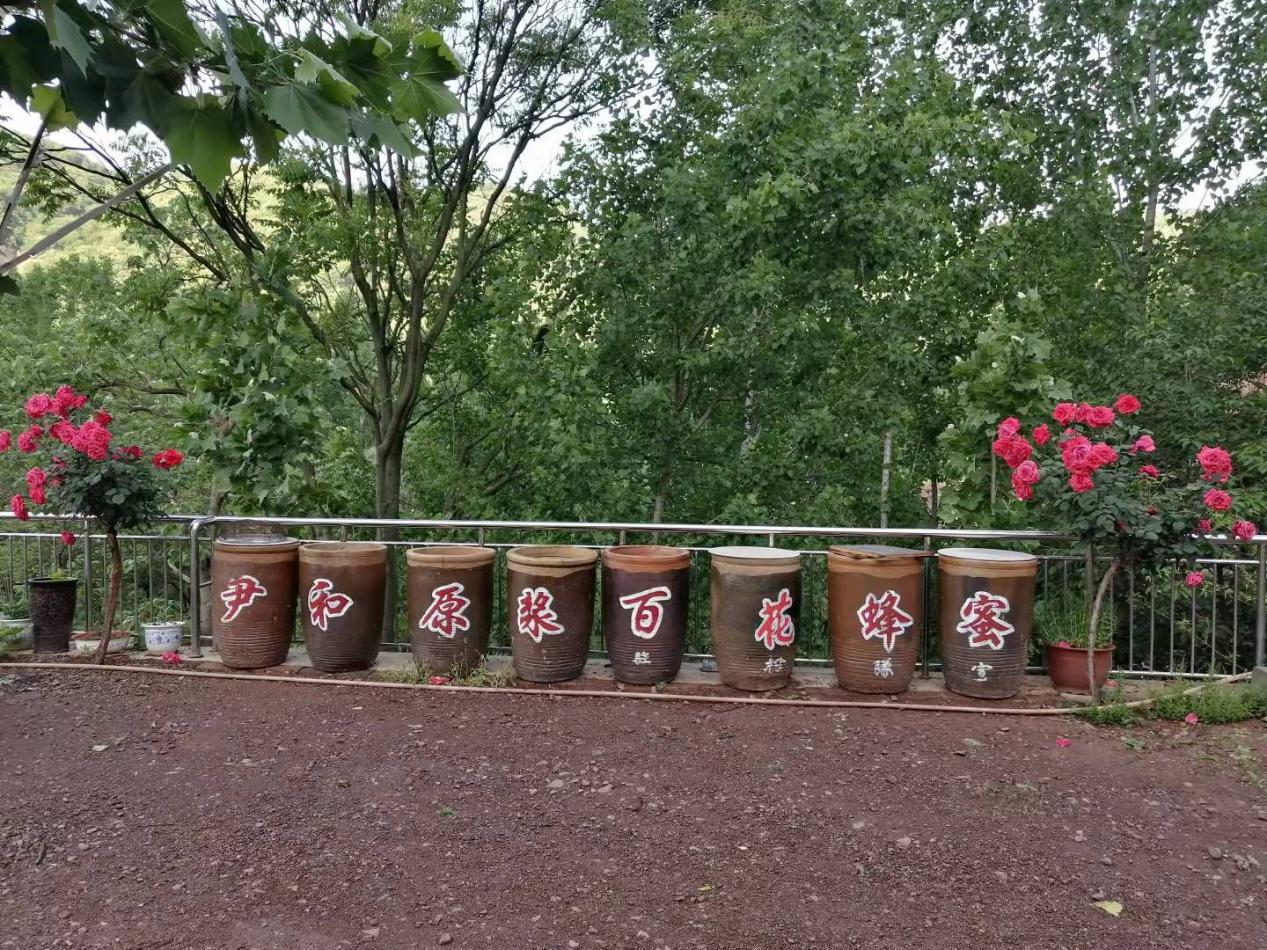 陈帅良鲁山县蜂蜜养蜂人法分割的情缘