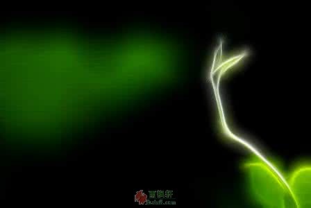 黑暗里的生命之光