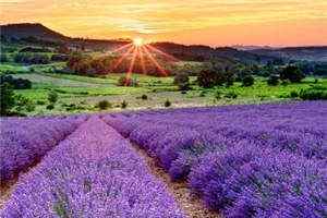 天帝,永生永世不再见精彩小说_慕绫烟御炎目录阅读