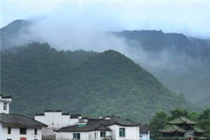 念念不忘没有回响精彩小说_陈希沈括宋霄云目录阅读