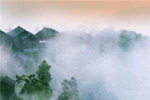 暗恋失火十年的爱意小说 宋千渝何静何洲在线阅读