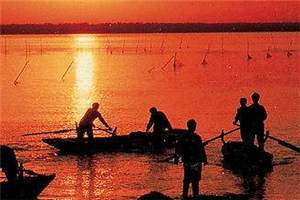 《伊人殇》在线阅读《苏墨瑶秦慕宇》最新章节目录