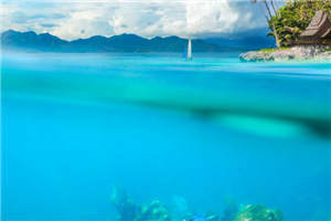 雪夜囚花(王纯梁恭施礼)知乎小说-雪夜囚花精彩结局