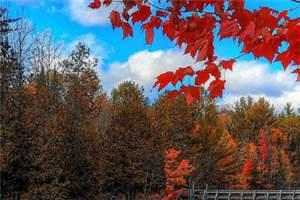 鼻尖的痣(宋远山周晨)主角为宋远山周沉的小说鼻尖的痣免费目录阅读