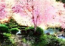 长相思不相忆全文免费阅读无弹窗