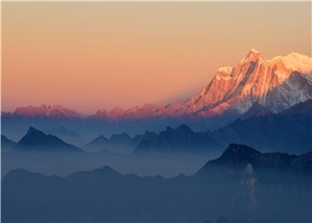 医生是个大帅哥（陈南嘉慕时）全文免费阅读