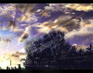 6458957盛落妍陆子霆小说在线阅读完整版_6458957盛落妍陆子霆免费阅读全文