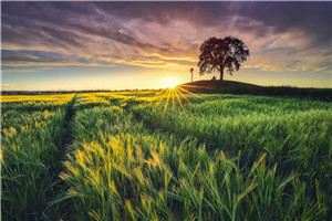 王亮李洁夕阳情全文免费阅读_王亮李洁(夕阳情)章节在线试读