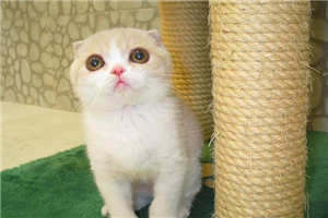 路遇情缘（周时熠凌诺）全文阅读_路遇情缘小说大结局免费阅读