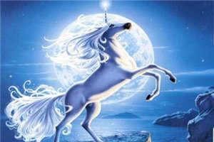 白安歌顾随屹小说（白安歌顾随屹小说）全文免费无弹窗大结局_白安歌顾随屹小说（白安歌顾随屹小说）最新章节目录笔趣阁（白安歌顾随屹小说）