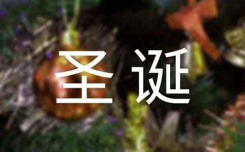 【推荐】圣诞礼物的作文300字集锦9篇