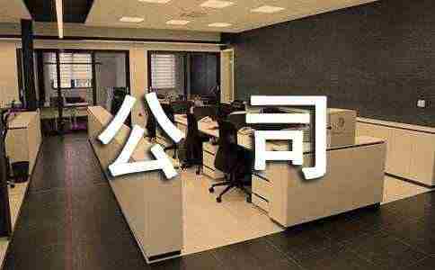 公司总经理工作总结(15篇)