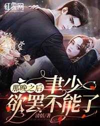 蚀骨危情：沈先生的新婚罪妻