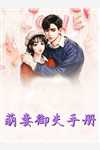 女总裁的上门女婿小说