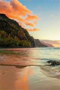 人在兽世开局被狂野雄性倒追小说免费阅读