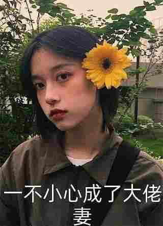 刘烨张辽王元姬