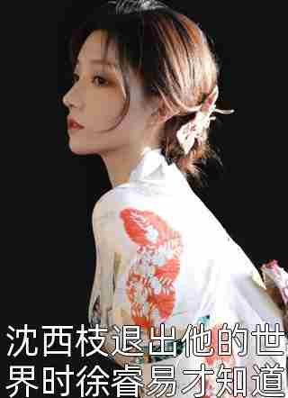大明:距离灭国还有七天?他坐吃等死了