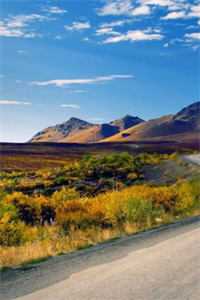 偏宠八零小甜妻