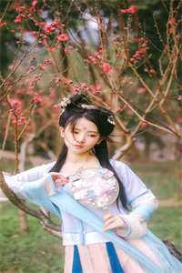 虞苏傅西楼长什么样子