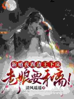 新婚夜踢渣王下床，老娘要和离！主角宋阮穆修泽小说精彩章节全文免费试读