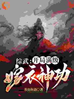 夏默夏皇综武：开局满级嫁衣神功阅读_夏默夏皇文本在线阅读