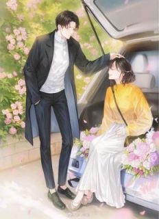 《束手就情：傲娇燕少追妻计》小说全文精彩阅读_叶微雨燕容琛小说全文