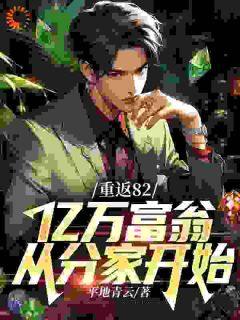 叶晓飞贺静佳小说_《重返82，亿万富翁从分家开始》小说全文免费试读