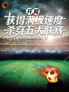 开局获得满级速度，杀穿五大联赛by林毅何大光完整版_林毅何大光小说全集在线阅读
