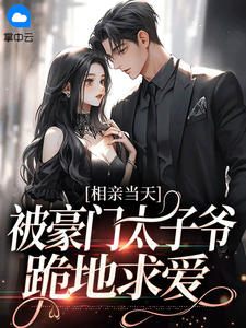 聂辞纪衡小说全文免费阅读_相亲当天，被豪门太子爷跪地求爱章节目录完整版