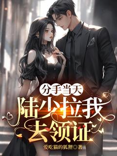 齐之诺陆闻璟温少虞by分手当天，陆少拉我去领证完整版_分手当天，陆少拉我去领证小说***阅读
