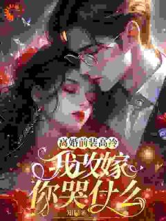 《***前装高冷，我改嫁你哭什么》小说章节免费试读_乔仪裴言川小说全文