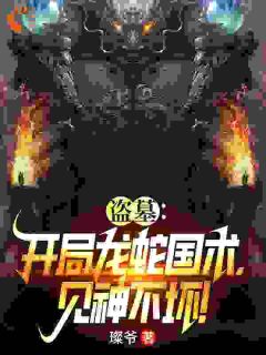 《苏晨苏云》小说大结局在线阅读_盗墓：开局龙蛇国术，见神不坏！小说全文