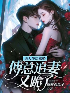 苏凉意陌千宸小说_池晚粼傅时筠章节在线阅读
