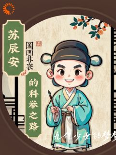 《苏辰安的科举之路》苏辰安王桂芬全文精彩阅读