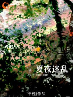 《夏夜迷乱》黎漾司宴完结版精彩试读