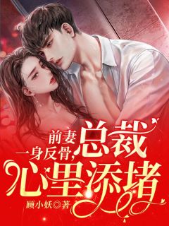 宁汐顾淮景by前妻一身反骨，总裁心里添堵精彩章节_前妻一身反骨，总裁心里添堵小说全集免费试读