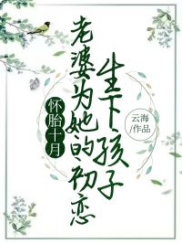 《怀胎十月,老婆为她的初恋生下孩子》小说完结版精彩阅读_江宁顾小青秦南小说全文