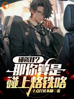 《苏幕大牛》小说大结局在线阅读_直播：职业挑战，开局网约司机小说阅读