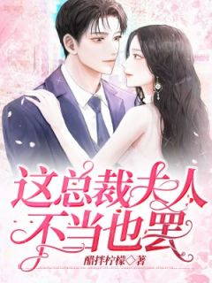 苏槿橙陆庭洲免费阅读_这总裁夫人不当也罢的小说在线阅读