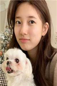 我愿意奉献