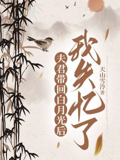 《夫君带回白月光后，我失忆了》小说全文免费阅读_《夫君带回白月光后，我失忆了》最新章节列表