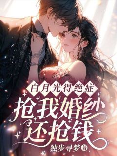 江晚苏盛临白月光得绝症，抢我婚纱还抢钱？_by独步寻梦完整在线阅读