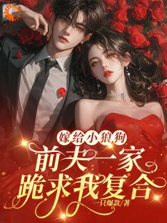 《嫁给小狼狗：前夫一家跪求我复合》小说大结局在线试读_苏回心楼庭乾小说阅读
