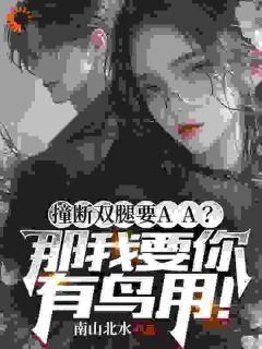 撞断双腿要AA？那我要你有鸟用！小说_《许州李萌萌》小说全文免费试读